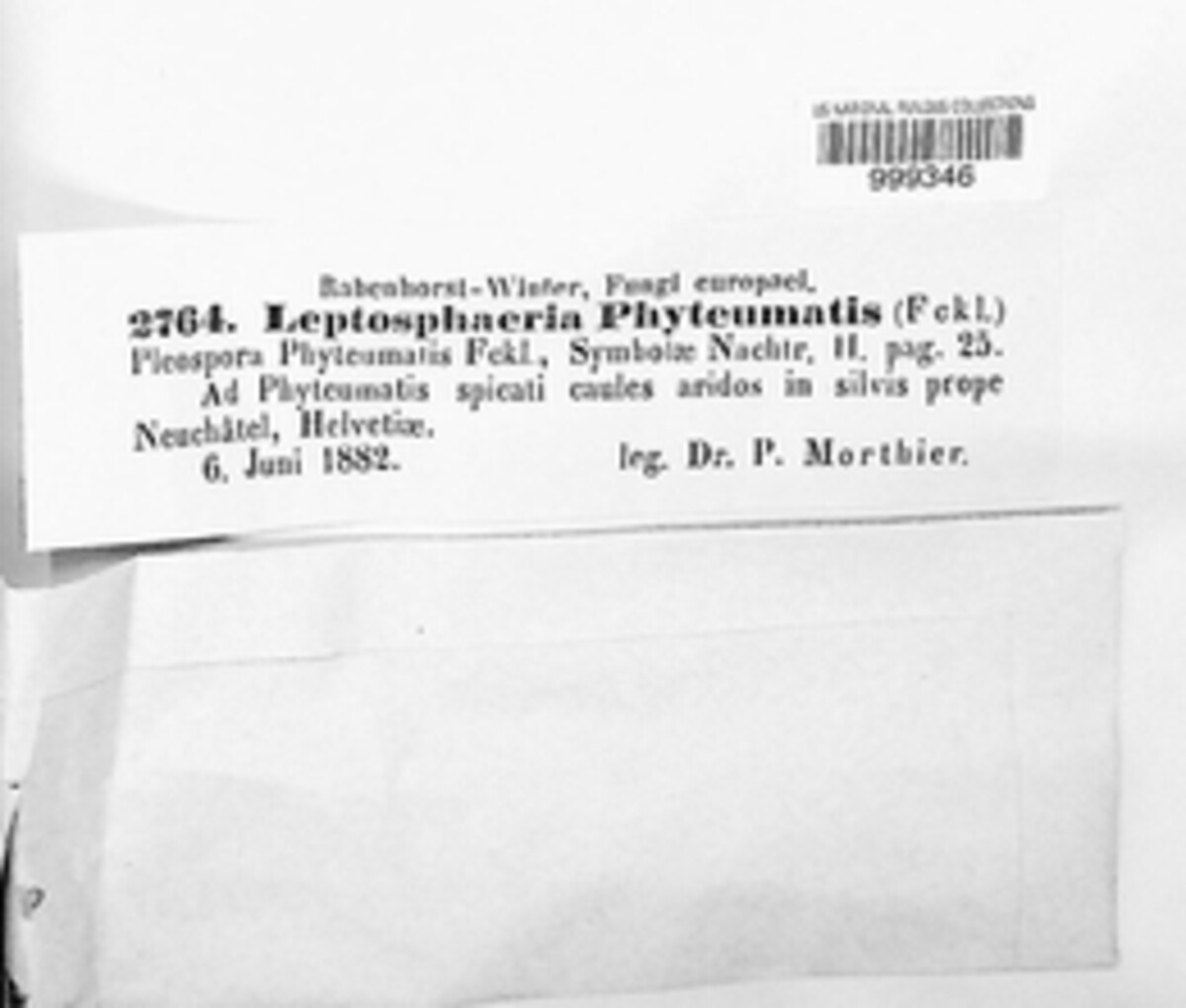 Ephelina image